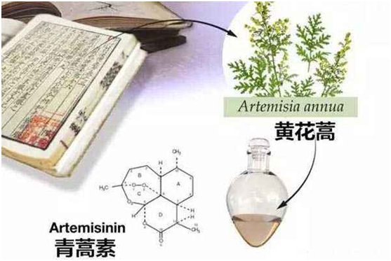 安博在线,安博（中国）：向中医药看齐，与世界共享中医药文化(图1)